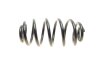 Пружина LESJOFORS 4263458 (фото 3)