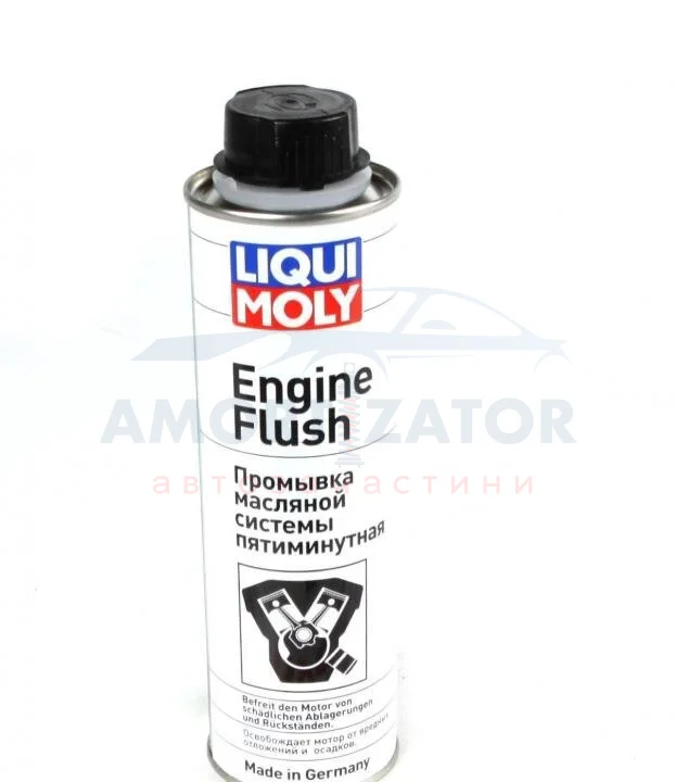 П’ятихвилинна промивка двигуна LIQUI MOLY 1920 (фото 1)