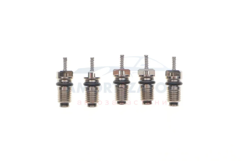 Комплект заправних клапанів (21,55x7mm) (5 шт.) MAGNETI MARELLI 007950024440 (фото 1)