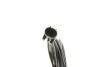 Датчик ABS MAGNETI MARELLI 172100189010 (фото 2)