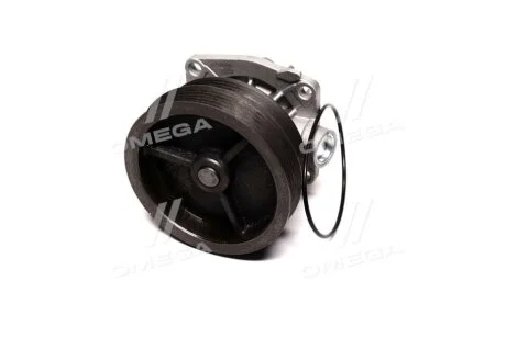 Водяний насос (Вир-во Magneti Marelli кор.код. WPQ0303) MAGNETI MARELLI 352316170303