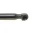 Амортизатор кришки багажника MAGNETI MARELLI 430719033700 (фото 3)