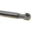 Амортизатор кришки багажника MAGNETI MARELLI 430719074600 (фото 3)