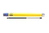 Амортизатор кришки багажника MAGNETI MARELLI 430719076500 (фото 1)