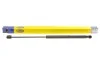 Амортизатор кришки багажника MAGNETI MARELLI 430719078700 (фото 1)