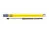 Амортизатор кришки багажника MAGNETI MARELLI 430719084400 (фото 1)