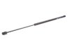 Амортизатор кришки багажника MAGNETI MARELLI 430719084800 (фото 3)