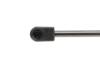 CITROEN газовий амортизатор багажника Nemo MAGNETI MARELLI 430719092100 (фото 3)