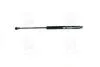 Амортизатор багажника MAGNETI MARELLI 430719097300 (фото 1)