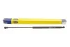 Амортизатор кришки багажника MAGNETI MARELLI 430719132500 (фото 1)