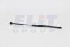 Газовий амортизатор (GAS SPRING) VW POLO (6N2) 10/99-09/01 ENGINE HOOD - HATCHBACK [430719026400] MAGNETI MARELLI GS0264 (фото 1)