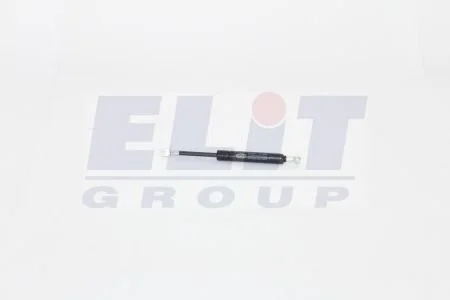 Амортизатор багажника BMW 5 E39 універсал MAGNETI MARELLI GS0534