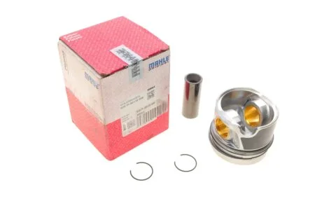 Поршень MAHLE MAHLE / KNECHT 028 PI 00116 000