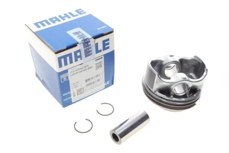 Поршень MAHLE / KNECHT 028 PI 00128 000