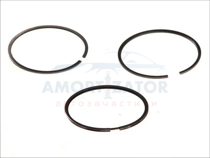Кільця поршневі MAHLE MAHLE / KNECHT 029 55 N0 (фото 1)