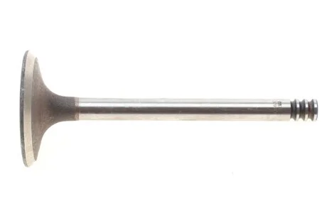 Клапан впуск. VW T5 1.9/2.5TDI 00-09 MAHLE / KNECHT 029 VE 30914 000