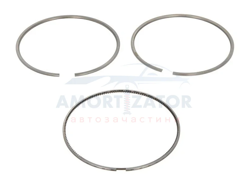 Кільця поршневі,комплект MAHLE / KNECHT 209 RS 10100 0N0 (фото 1)