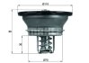 Термостат MAHLE / KNECHT THD 3 82 (фото 1)