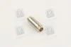 Направляюча клапана IN/EX RENAULT F3P/F3R/F8Q (вир-во Metelli) METELLI 012582 (фото 1)