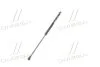 Амортизатор багажника SEAT LEON (вир-во Monroe) MONROE ML5767 (фото 4)