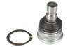 Шарова опора лів/прав (нижн передн) (діаметр конуса 18mm) HYUNDAI I10 II, I10 III KIA PICANTO II, PICANTO III, RIO II, RIO III, SOUL I 1.0-1.6LPG 03.05- MOOG KIBJ12659 (фото 1)