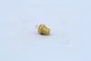 Лампа розжарювання 12v 1,5w Bx8,5d YELLOW (вир-во Narva) NARVA 17050CP (фото 1)