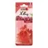 Автомобільний ароматизатор повітря полімерний Nowax X Bag - Cherry (20шт/ящ) NOWAX NX07555 (фото 1)