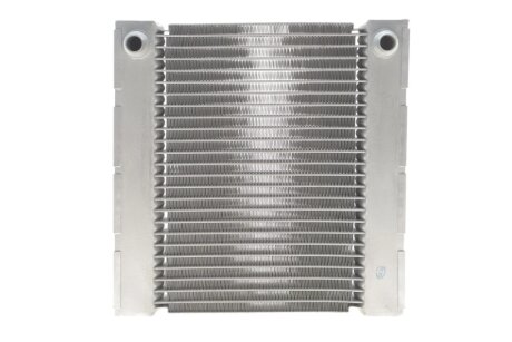 Радіатор, система охолодження двигуна NRF 550191