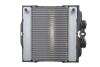 Радіатор охолодження NRF 550288 (фото 1)