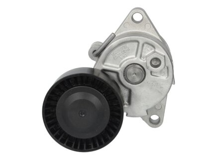 Натягувач NTN SNR GA350.27
