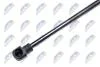 Амортизатор багажника VW Polo Liftback 10.01-11.09 NTY AEVW031 (фото 2)