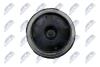 Опора двигуна верх. лів. NISSAN QASHQAI I, X-TRAIL II 2.0 02.07-04.14 NTY ZPS-NS-089 (фото 5)