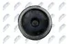 Опора двигуна верх. лів. NISSAN QASHQAI I, X-TRAIL II 2.0 02.07-04.14 NTY ZPSNS089 (фото 5)