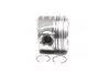 Поршень з кільцями PSA/FORD 75,60 1.6 TDCi 16V DV6UTED4/G8DA/HHDA Euro 4 (вир-во) NURAL 8742400800 (фото 1)