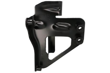Елементи капота PACOL DAFFB042R
