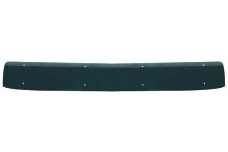 Сонцезахисний козирок MAN TGX I 06.06-09.21 MAN TGX PACOL MANUP002