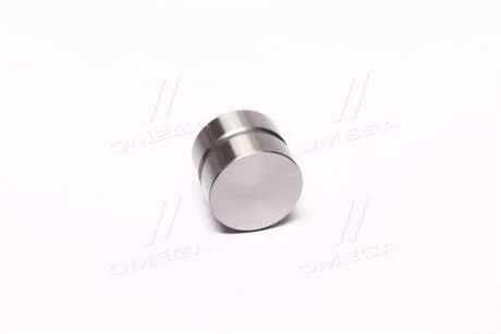 Гідрокомпенсатор HYUNDAI/KIA TB/TL/T8D/A5D/B5D/TP/TE (вир-во) PARTS-MALL HCETB017