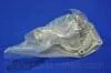 PHA-025 PMC - Насос охолоджуючої рідини PARTS-MALL PHA025 (фото 2)