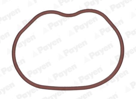 Ущільнення, впускний колектор PAYEN JD6166
