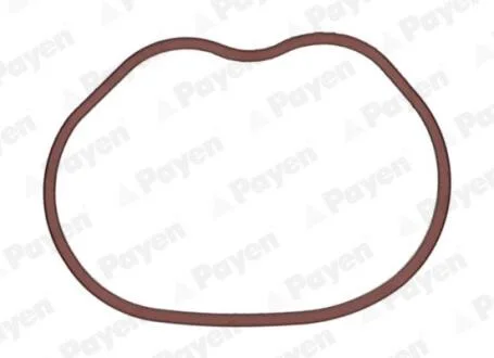 Ущільнення, впускний колектор PAYEN JD6166