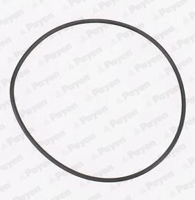 Прокладка насоса охолоджуючої рідини ALFA ROMEO 156, 166, 4C, 4C SPIDER, GIULIETTA FIAT BARCHETTA, BRAVA, BRAVO I, COUPE, DOBLO, DOBLO/MINIVAN, MAREA, PALIO, PUNTO 1.4-2.4D 08.94- PAYEN KA845