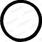 Сальник клапана гумовий PAYEN PB248