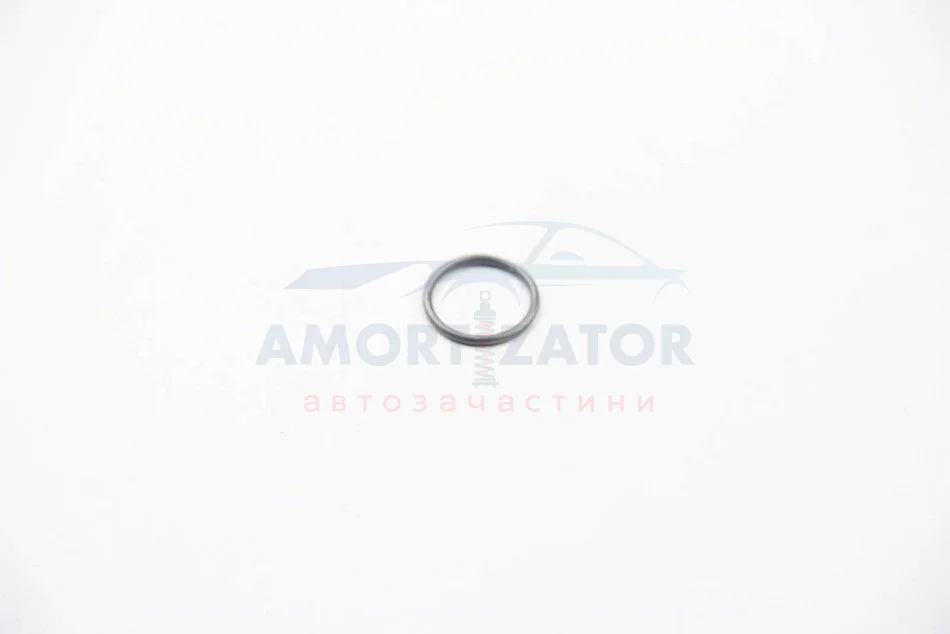Кільце Peugeot/Citroen 1609848880 (фото 1)