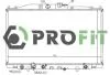 Радіатор охолоджування PROFIT 17400200 (фото 1)