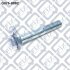 Болт з ексцентриком Q-FIX Q3760082 (фото 1)