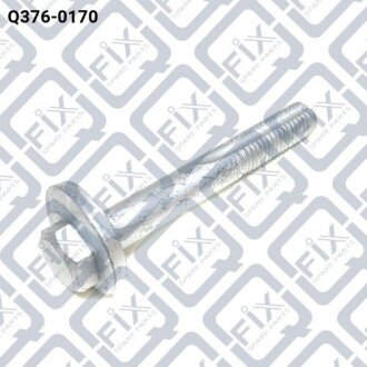 Болт з ексцентриком Q-FIX Q3760170