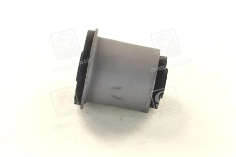Сайлентблок важеля RBI T24GR21P