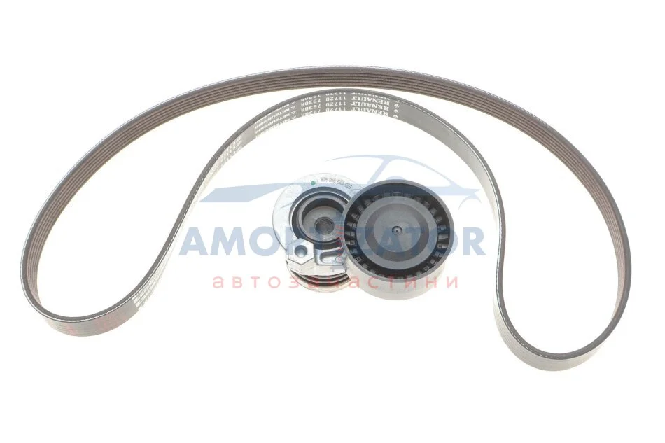 Комплект ременя генератора Renault Kangoo RENAULT 117201925R (фото 1)