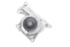 Насос системи охолодження К9К RENAULT 210107852R (фото 3)