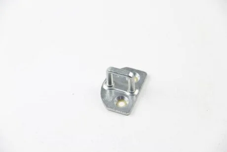 Петля замка двері kangoo ii RENAULT 8200219250